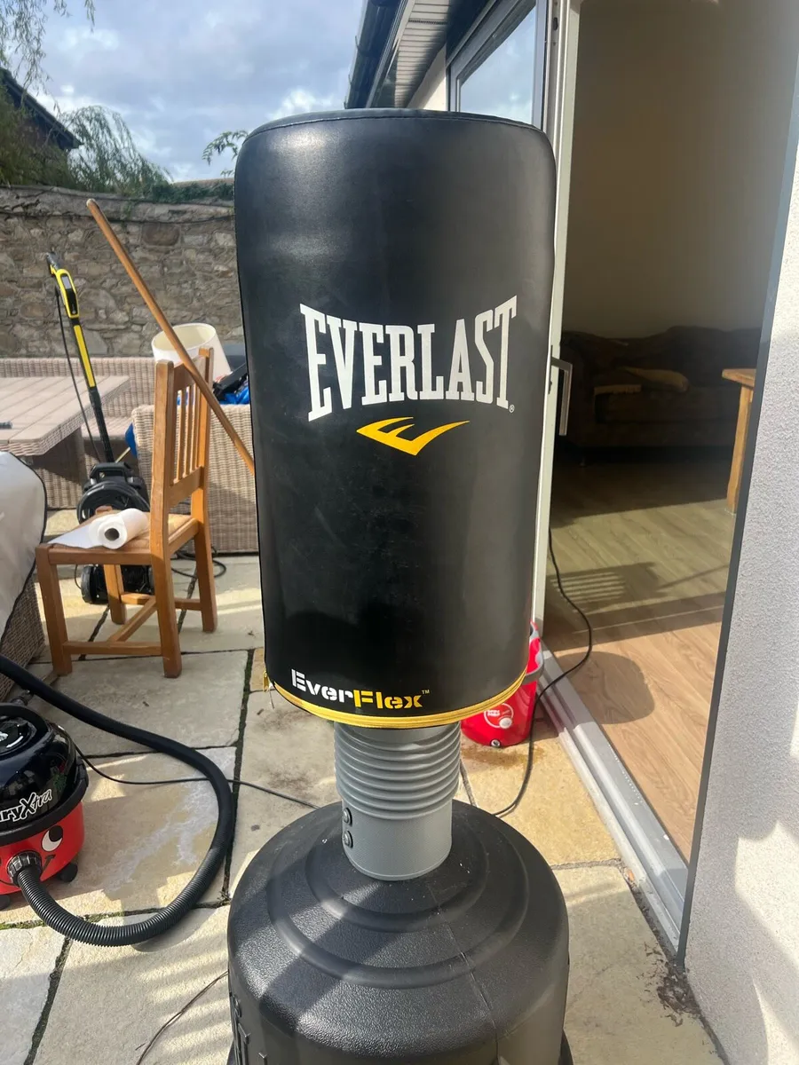 Everlast Punching bag - Image 2