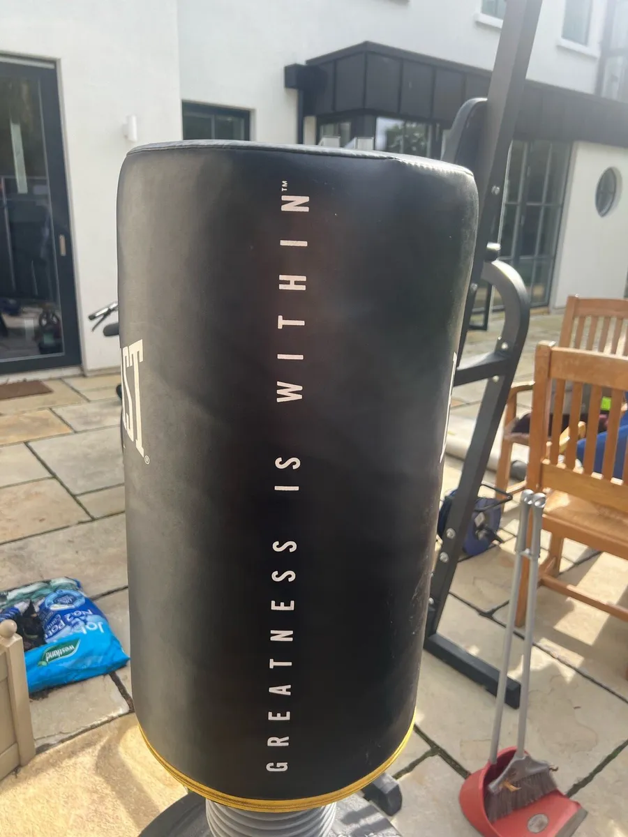 Everlast Punching bag - Image 4