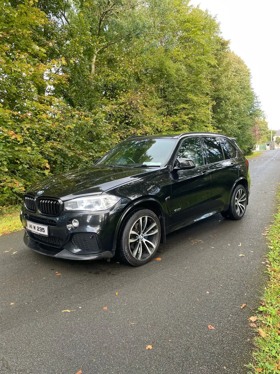BMW X5M30D - Image 1