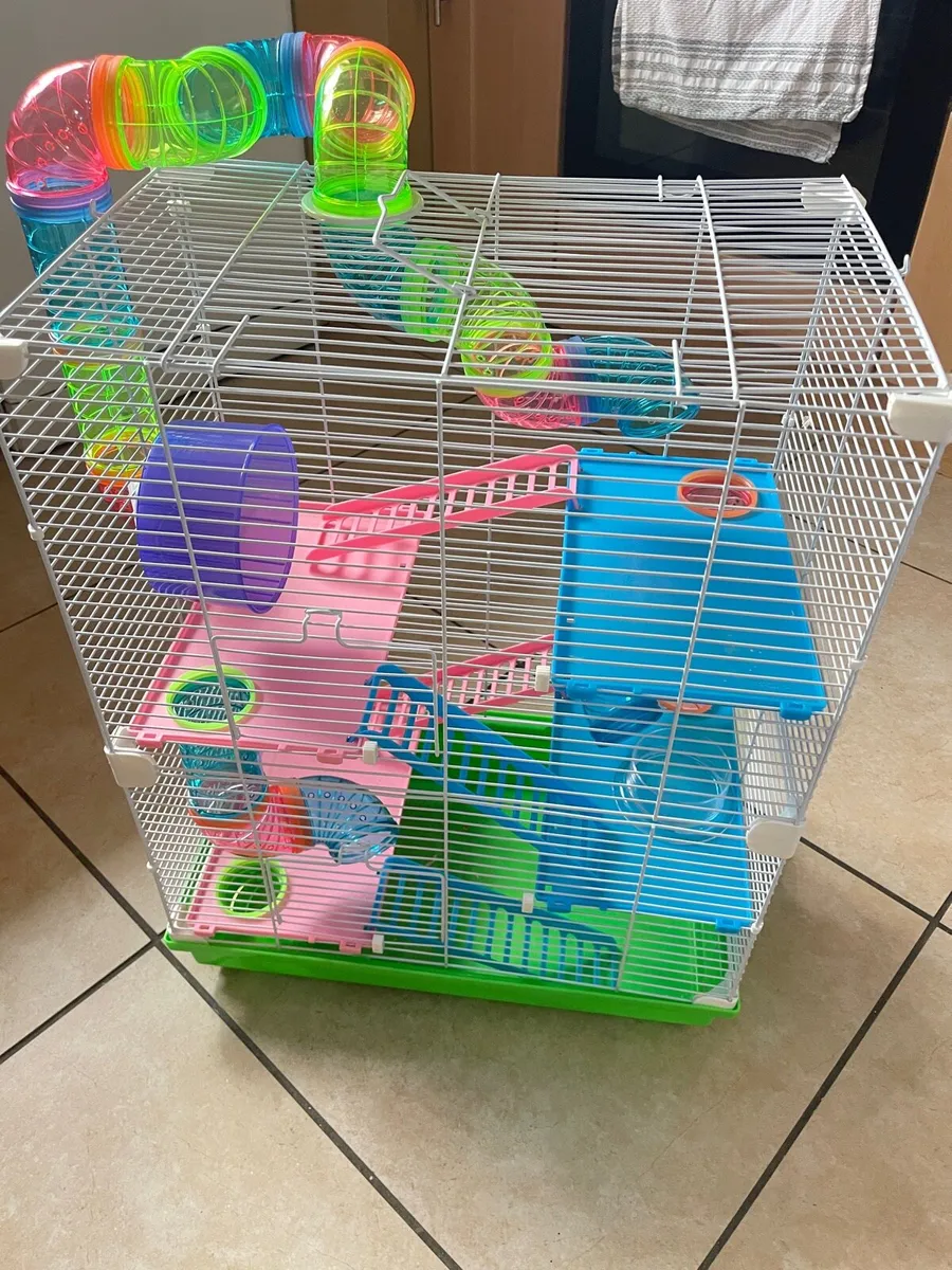 Large hamsters cage - Image 2