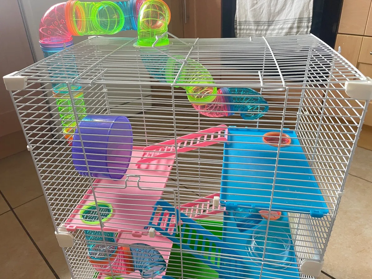 Large hamsters cage - Image 4