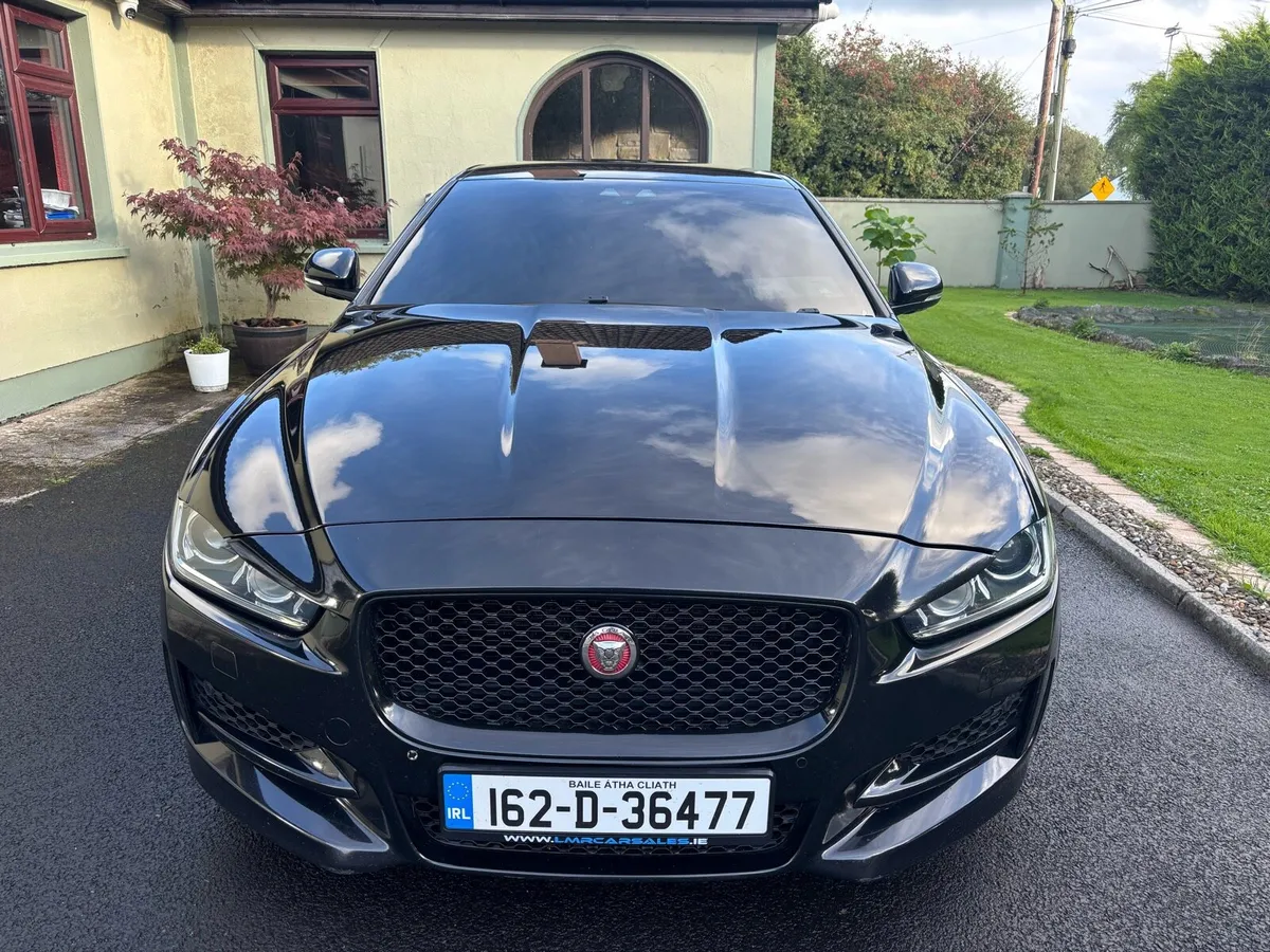 Jaguar - Image 3