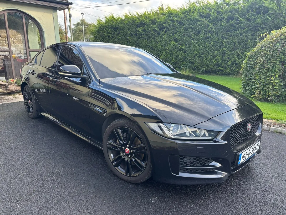 Jaguar - Image 4
