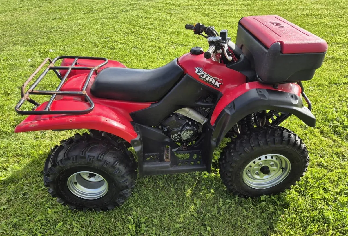 Suzuki Quadrunner 250 Ozark - Image 3
