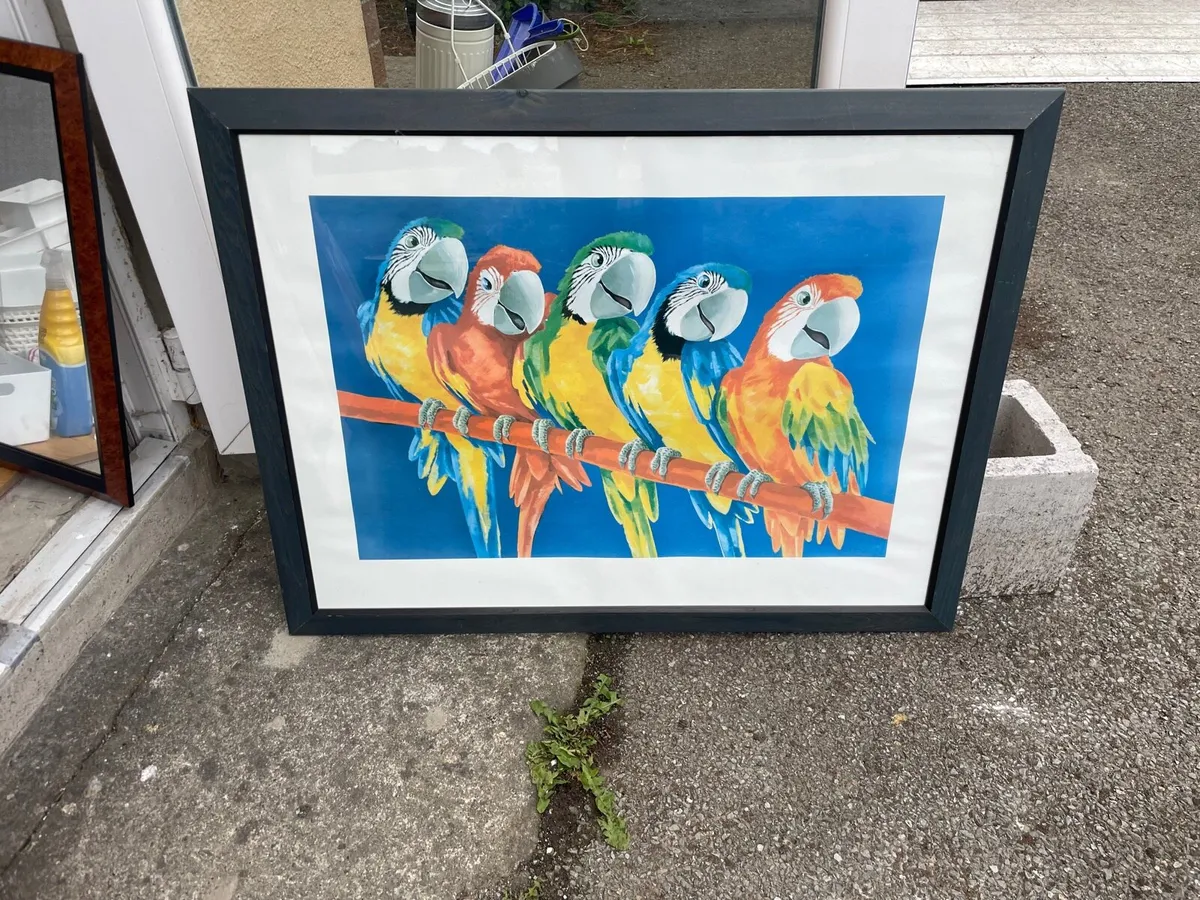 Picture parrots €25 - Image 2