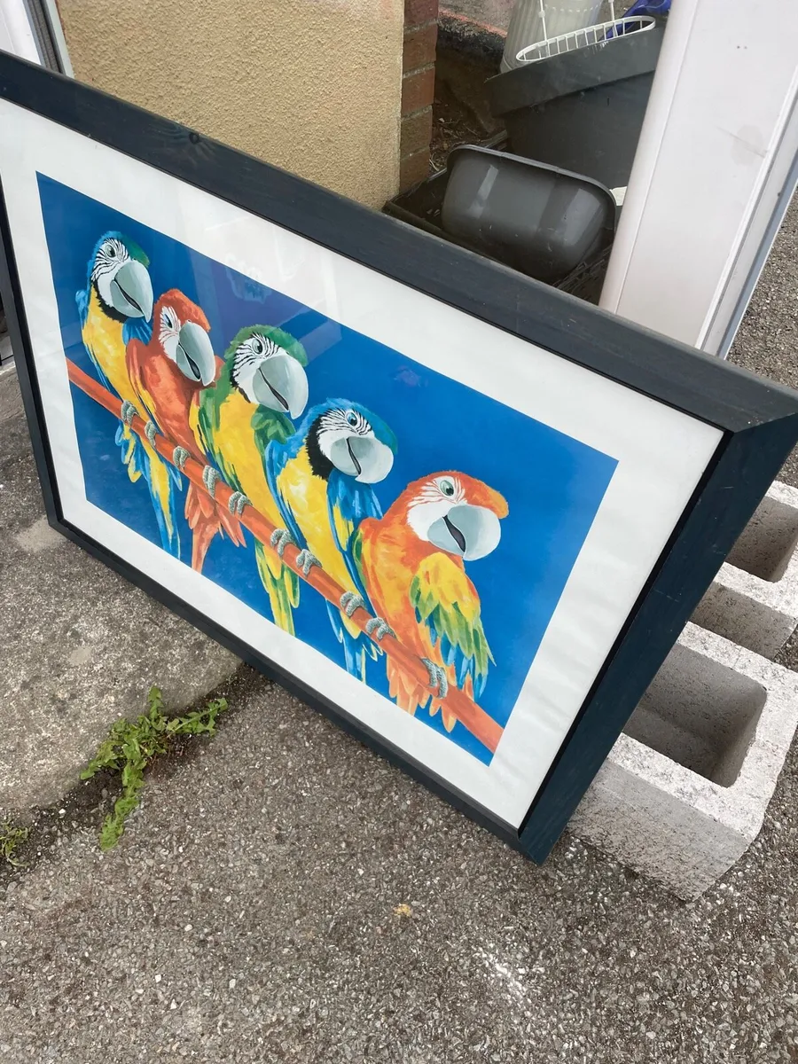 Picture parrots €25 - Image 3
