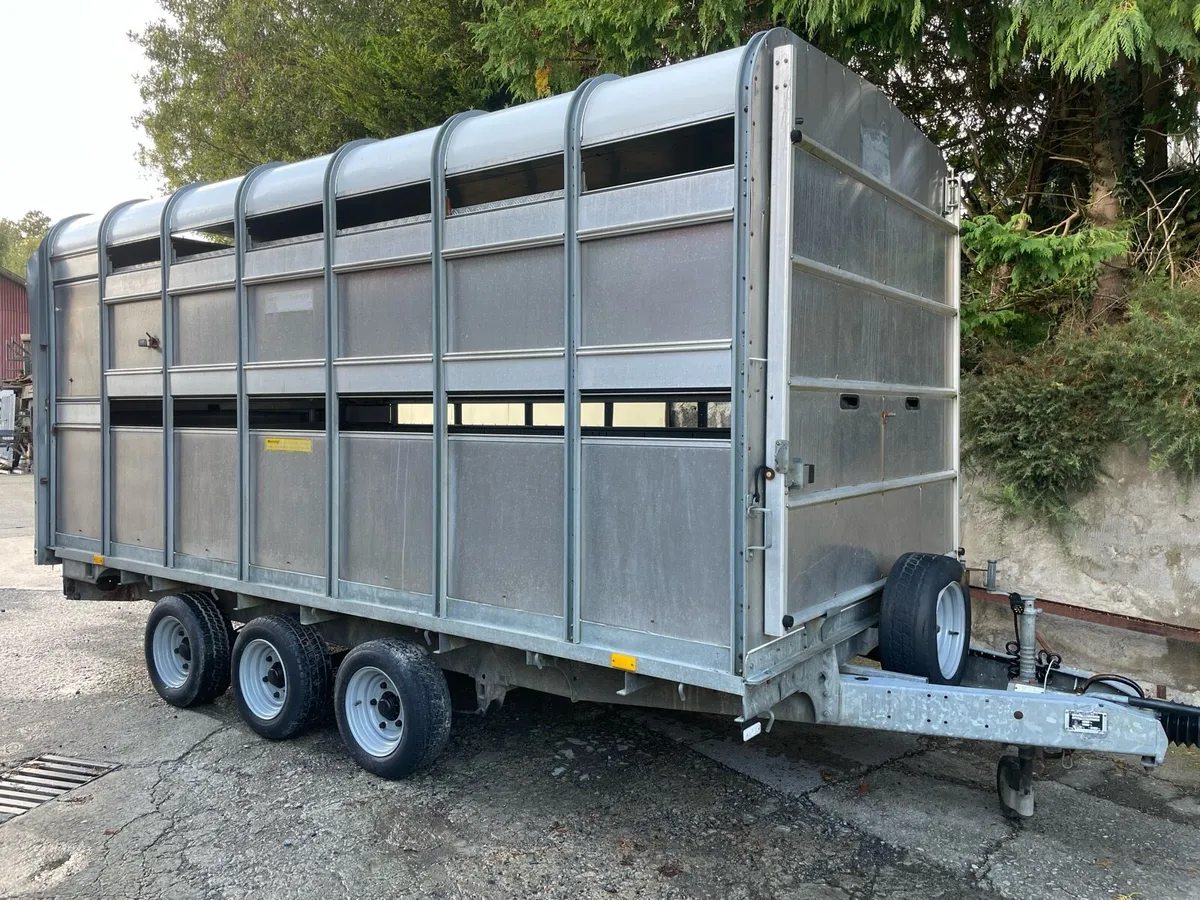 Ifor Williams livestock trailer - Image 1