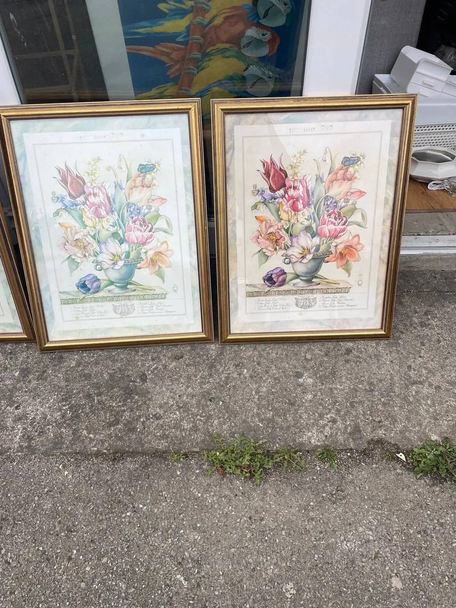 Pictures gallery - Image 3