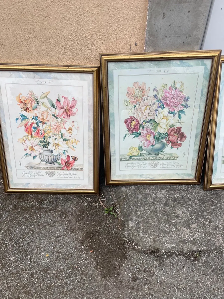 Pictures gallery - Image 4