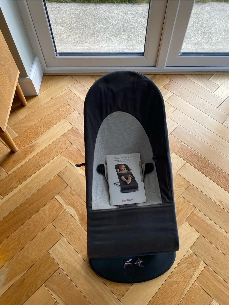 Baby Bouncer