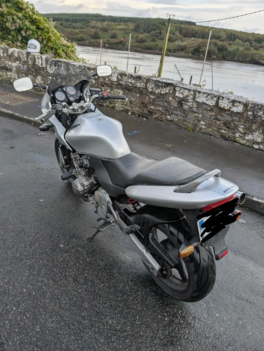 Honda Hornet S CB600F 2003 - Image 3