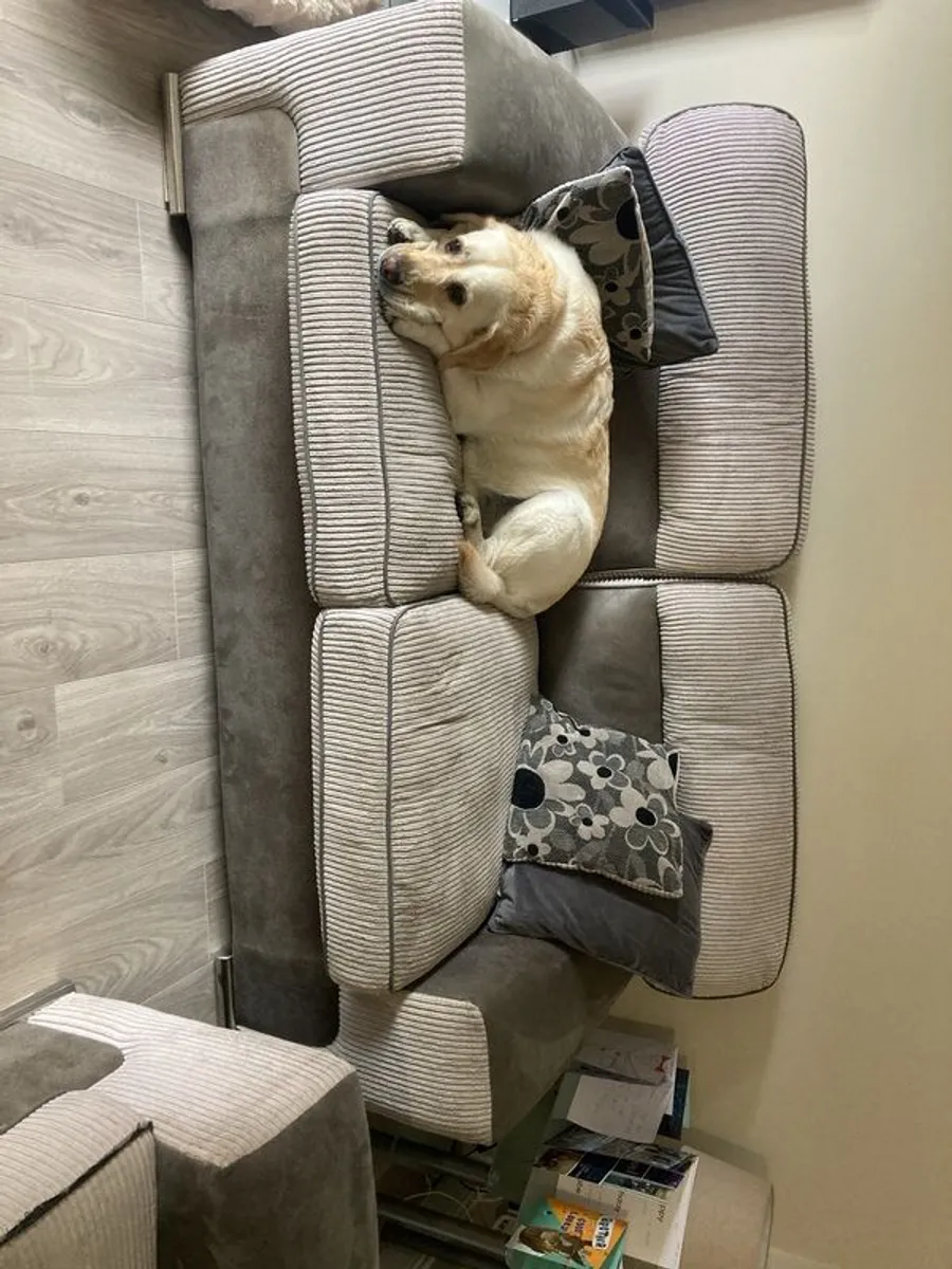 Sofa( dog doesn't come with it) - Image 1