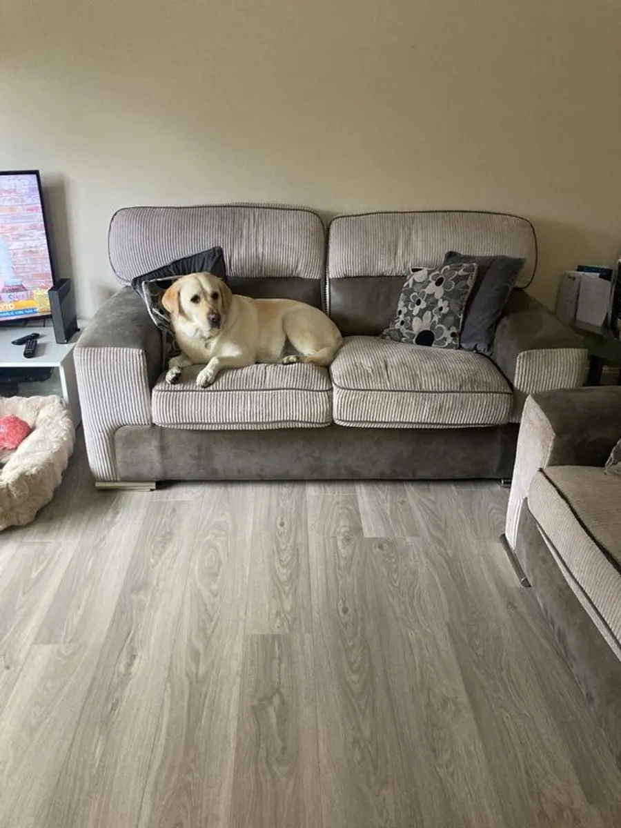 Sofa( dog doesn't come with it) - Image 4