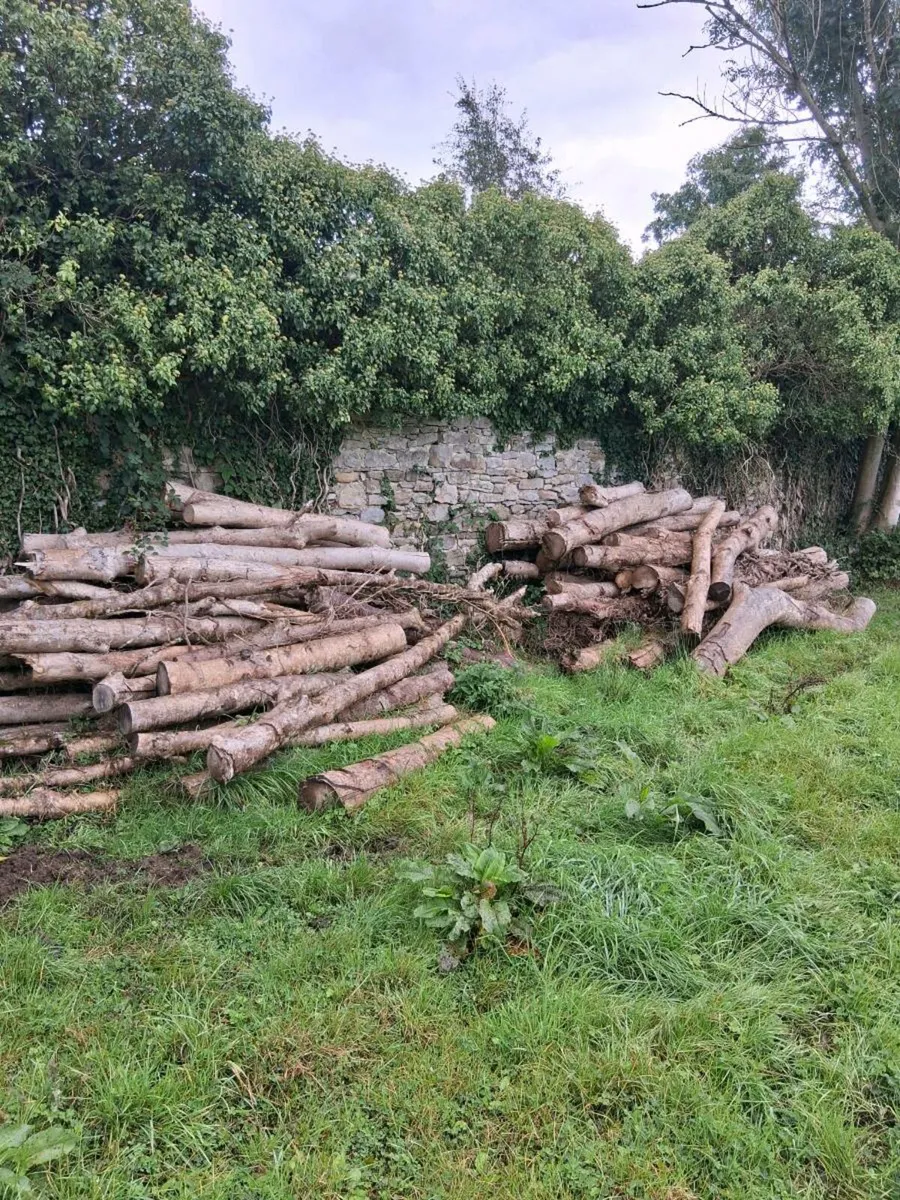 Firewood (Hardwood) - Image 1