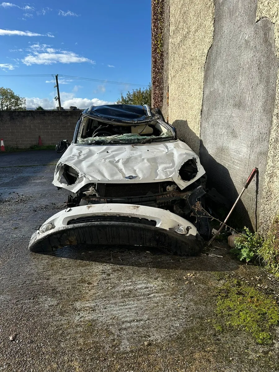 Mini Countryman - Image 2