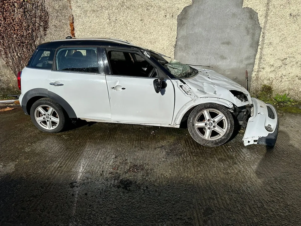 Mini Countryman - Image 1