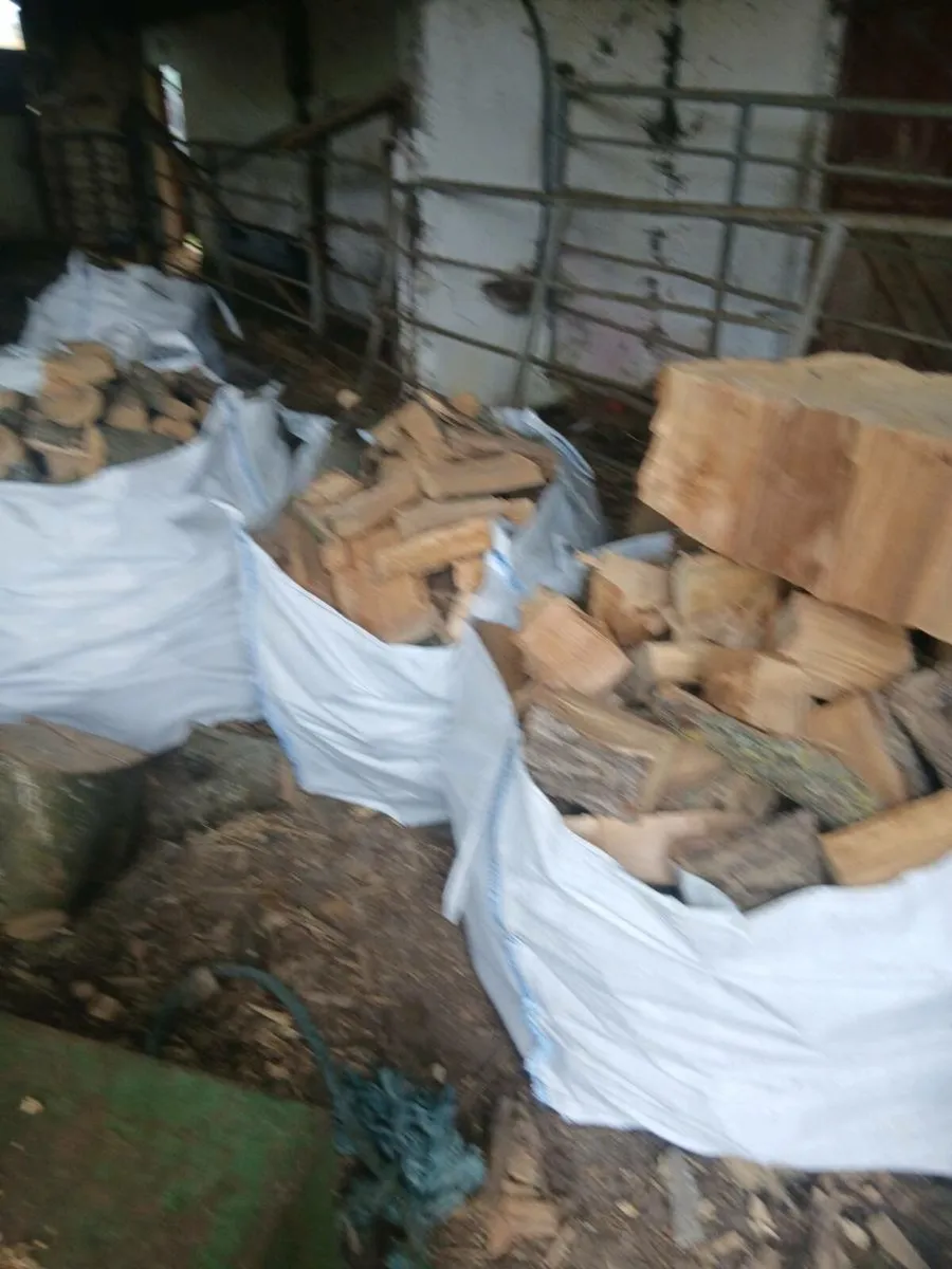 Firewood cork city - Image 2
