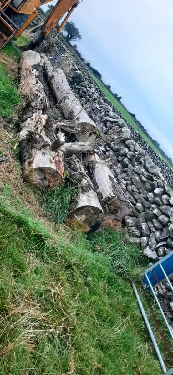 16 foot lengths of timber - Image 1