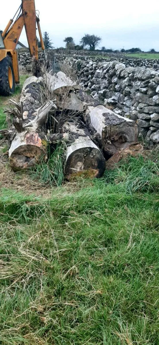 16 foot lengths of timber - Image 2