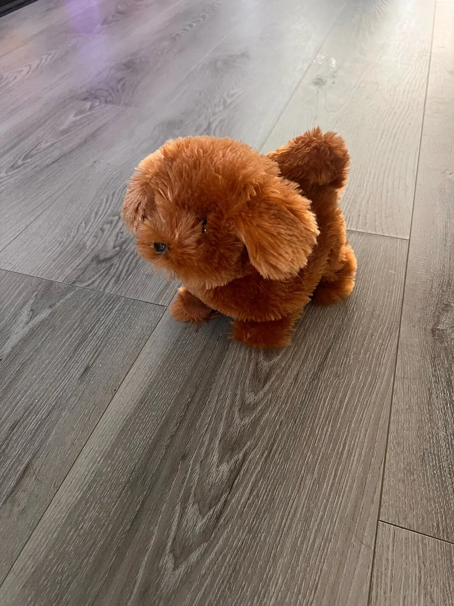 Toy dogs - Image 1