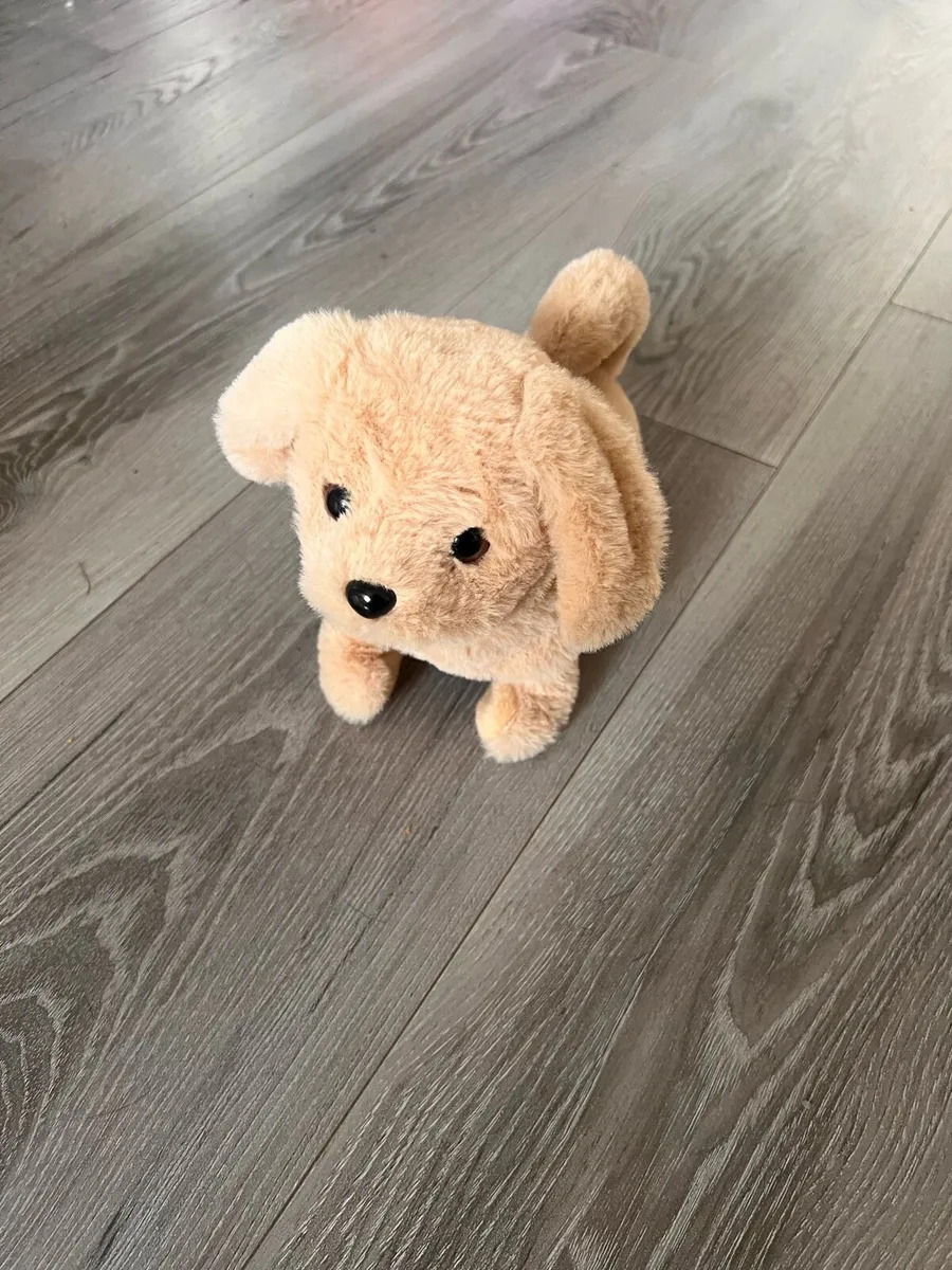 Toy dogs - Image 2