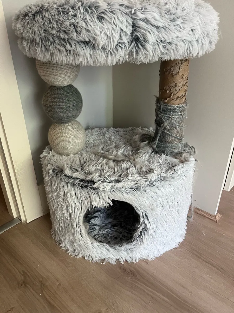 Cat tree USED and cat tunnel USED - Image 1