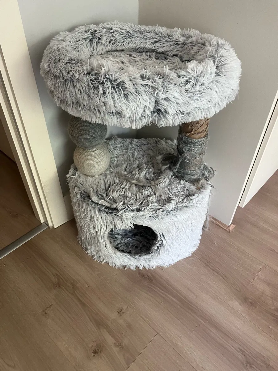 Cat tree USED and cat tunnel USED - Image 2