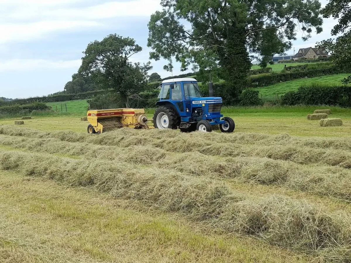 Hay for Sale - Image 1