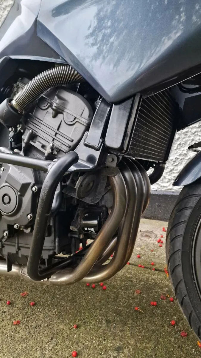2004 Honda CBF600 - Image 3