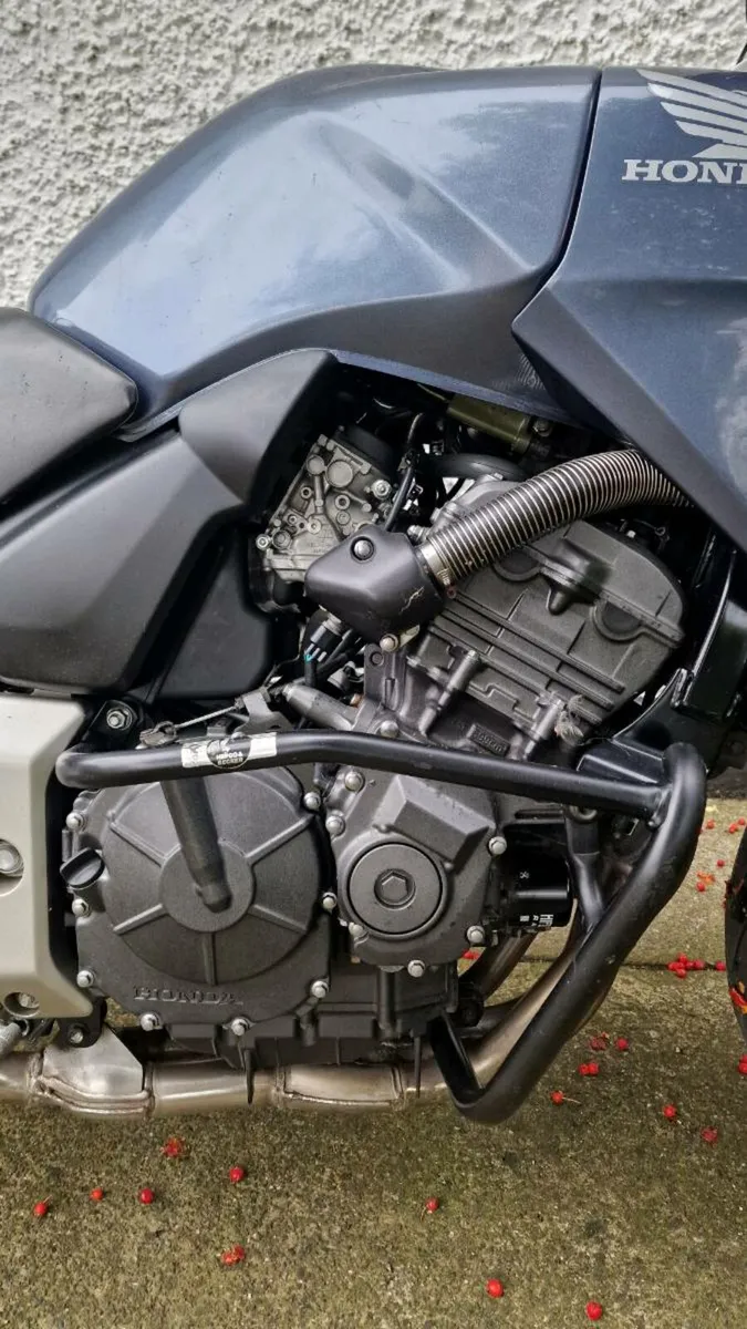 2004 Honda CBF600 - Image 4