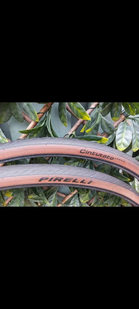 Pirelli Cinturato Tan Wall Bicycle Tyres - Image 1