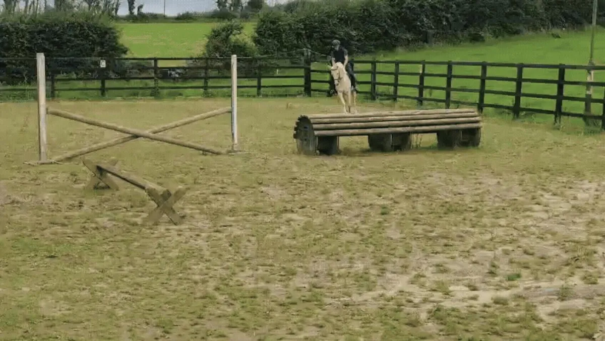 Pony - Image 1