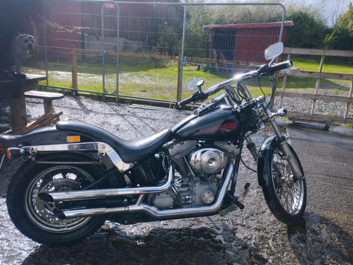 Harley Davidson FXST - Image 1