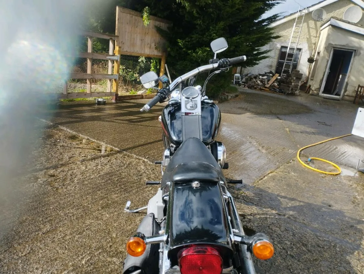 Harley Davidson FXST - Image 2