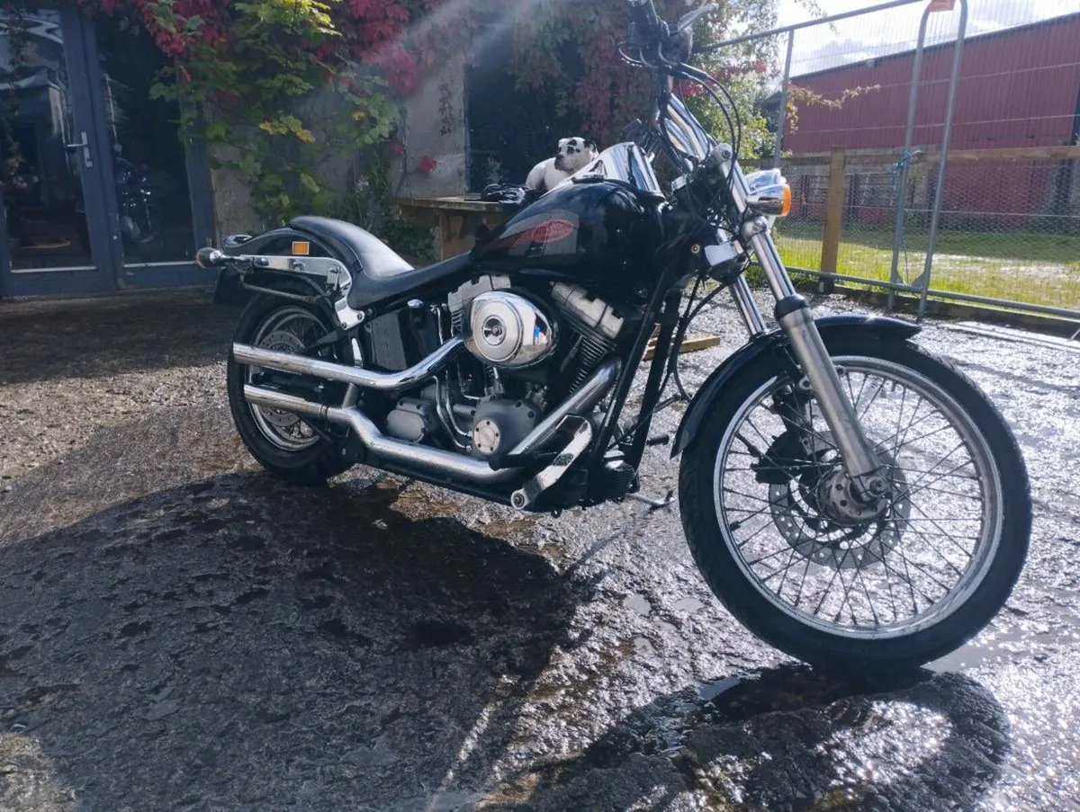 Harley Davidson FXST - Image 3