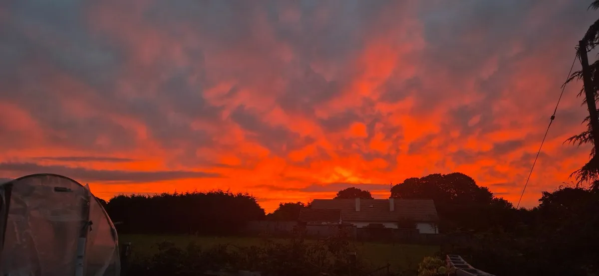 Lovely sunrise this morning - Image 1