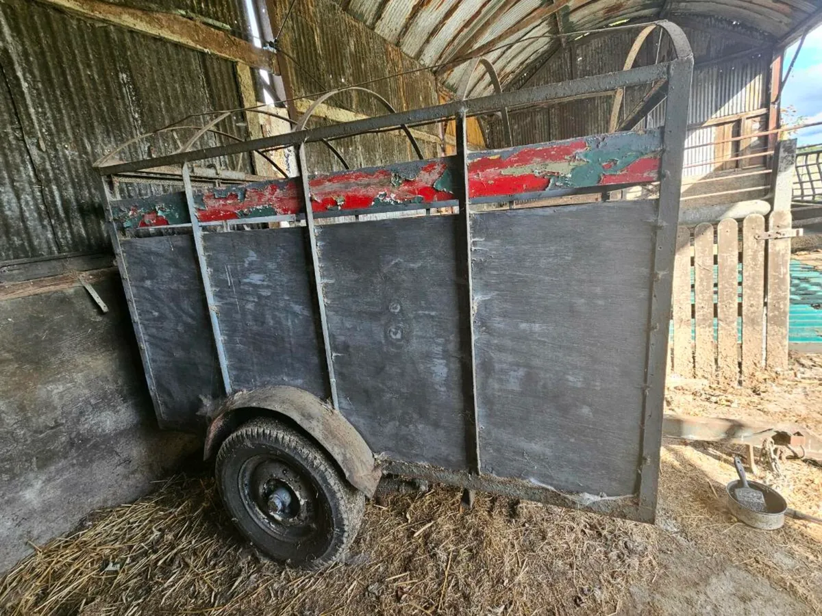 2 Cow Trailer - Image 2