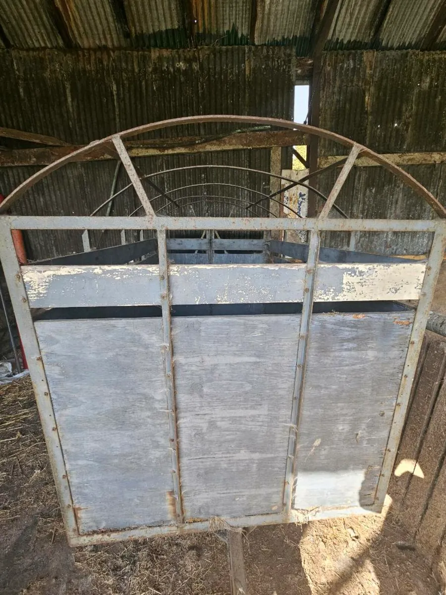 2 Cow Trailer - Image 3
