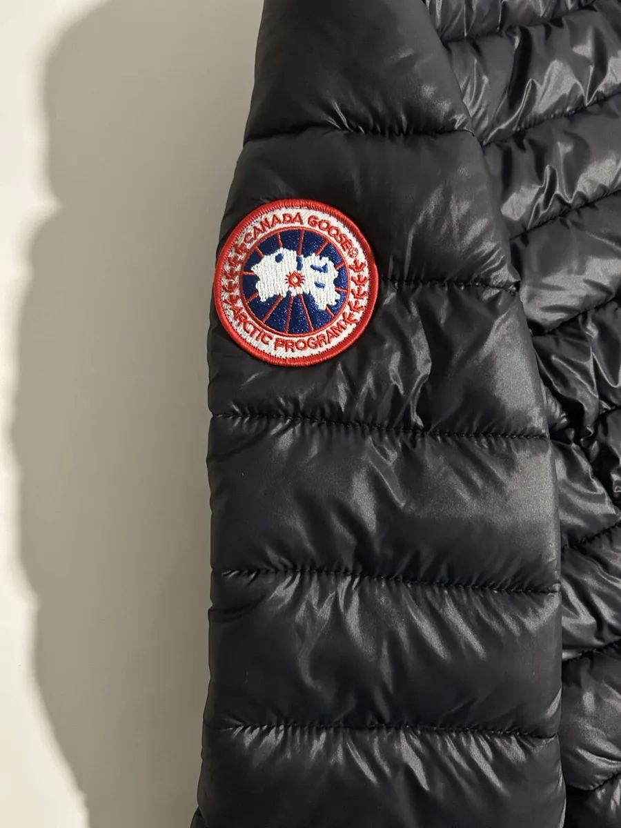 Canada goose - Image 1