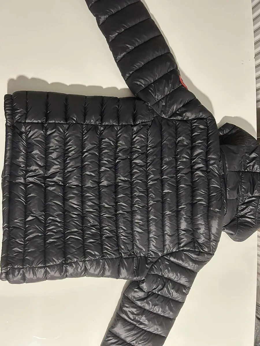 Canada goose - Image 3