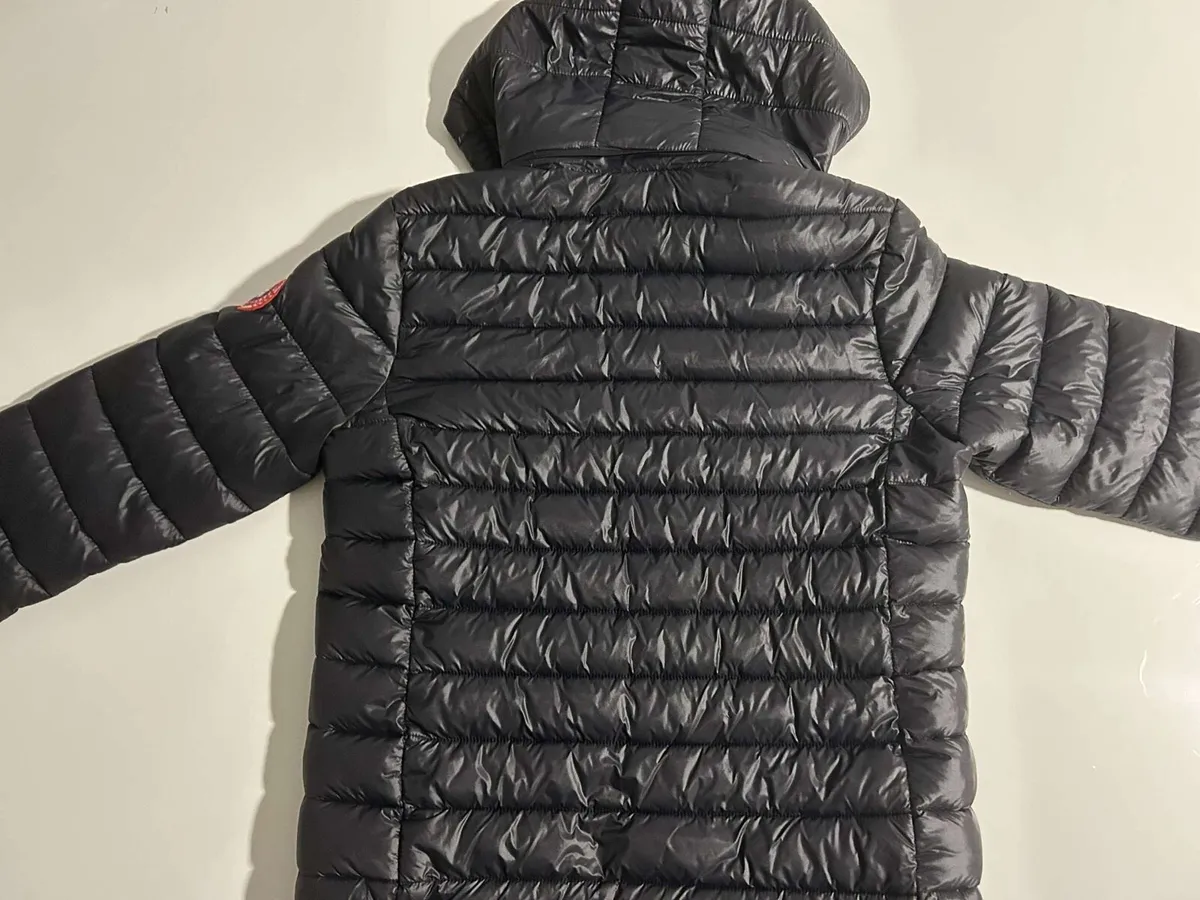 Canada goose - Image 4