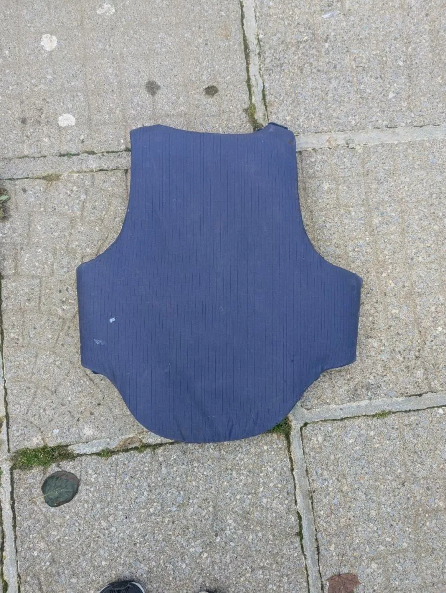 Back Protector Adult Medium - Image 2