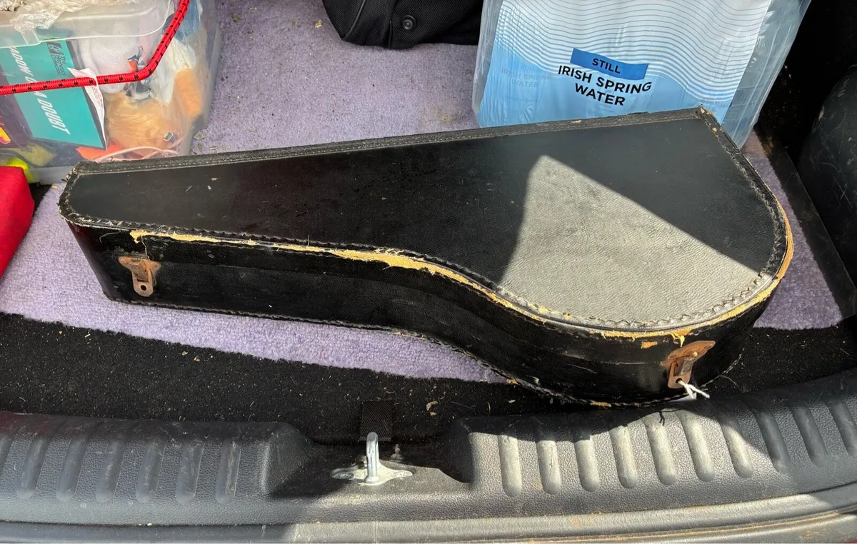 Vintage musical instrument case - Image 1
