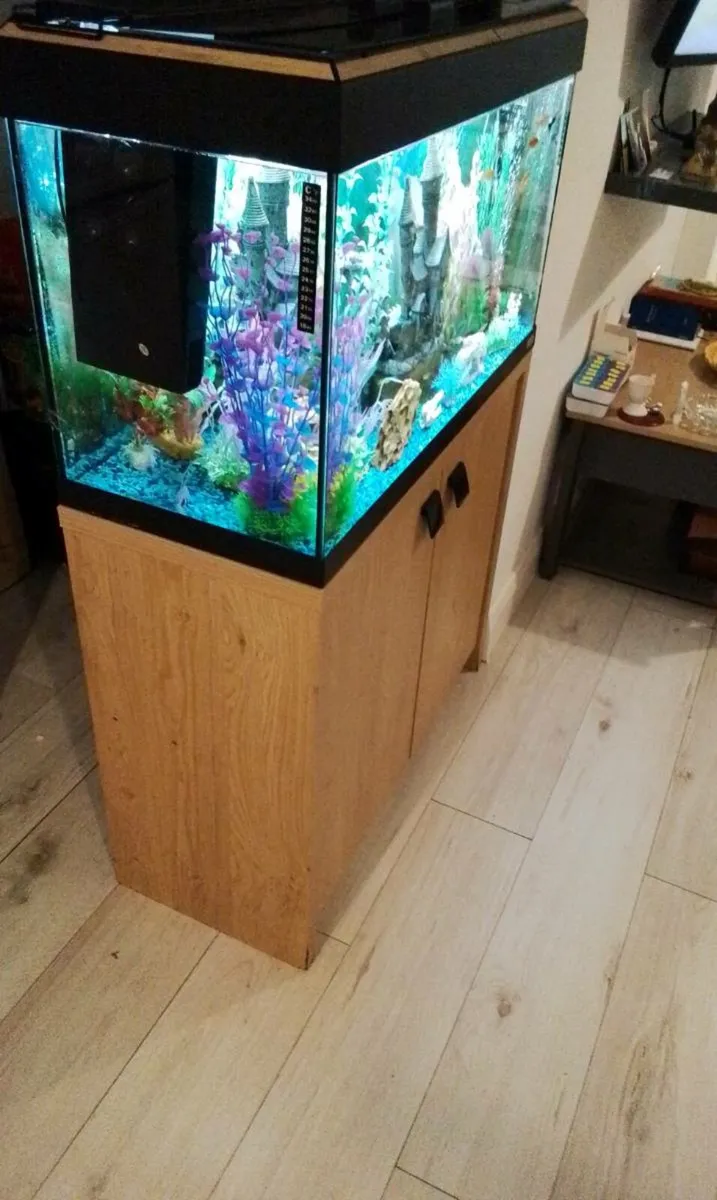 Aquarium and matching cabinet - Image 3