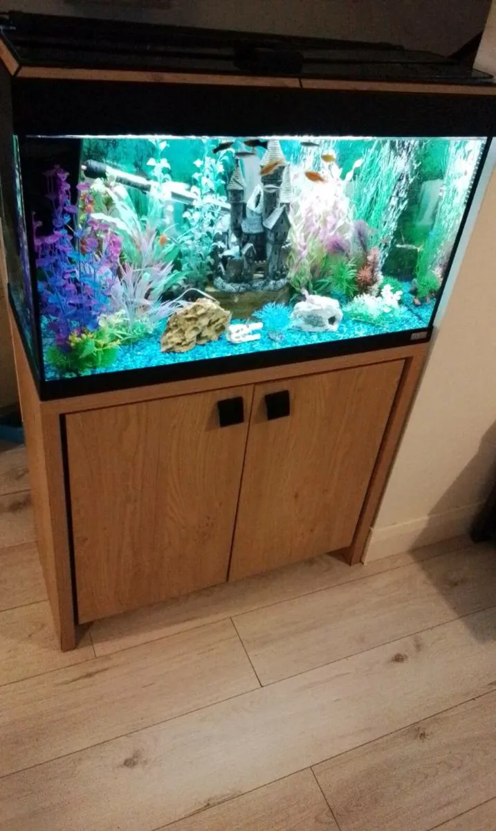 Aquarium and matching cabinet - Image 4