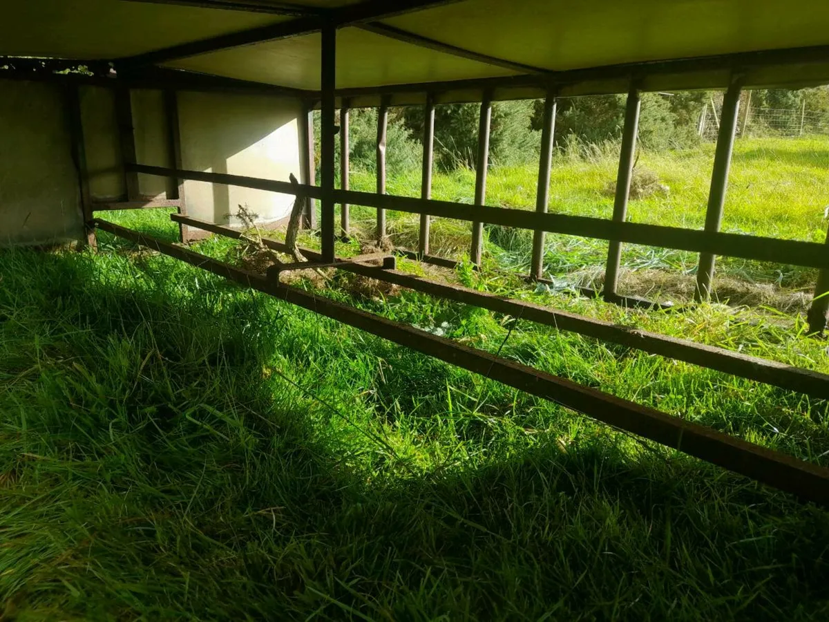Lamb creep feeder - Image 3