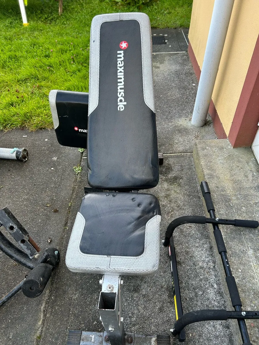 Bench and weights - Image 1