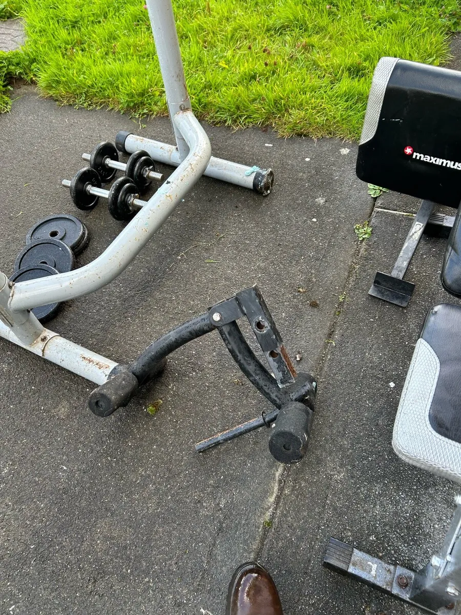 Bench and weights - Image 3
