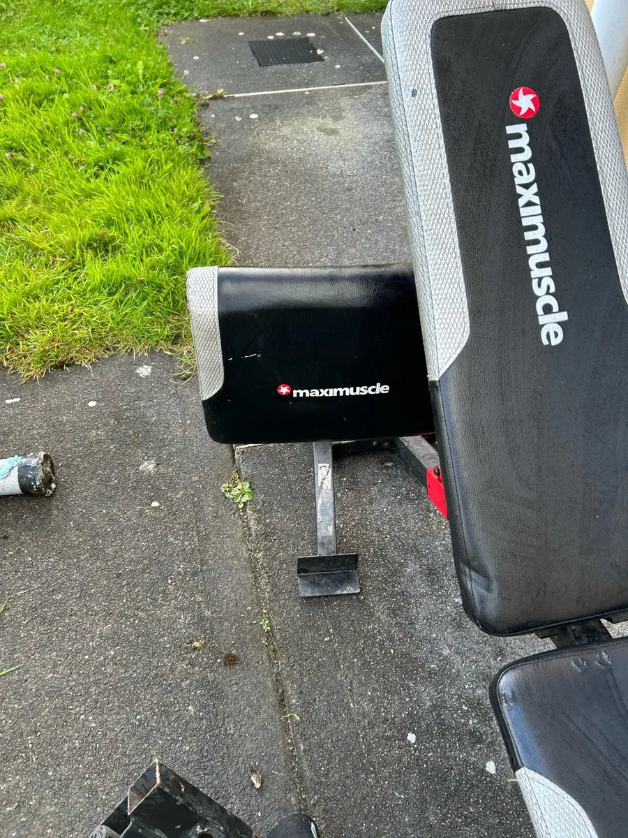 Bench and weights - Image 4