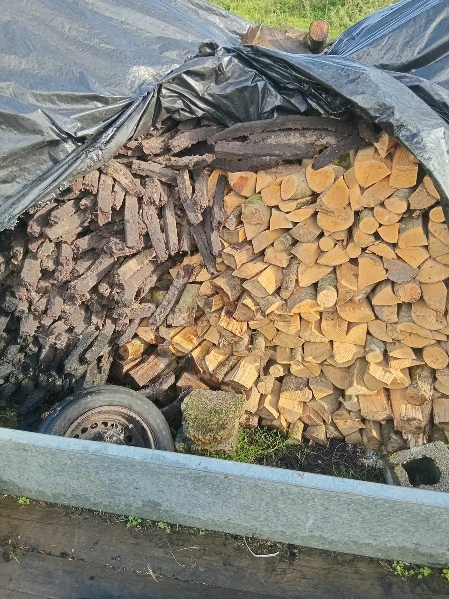 Firewood +